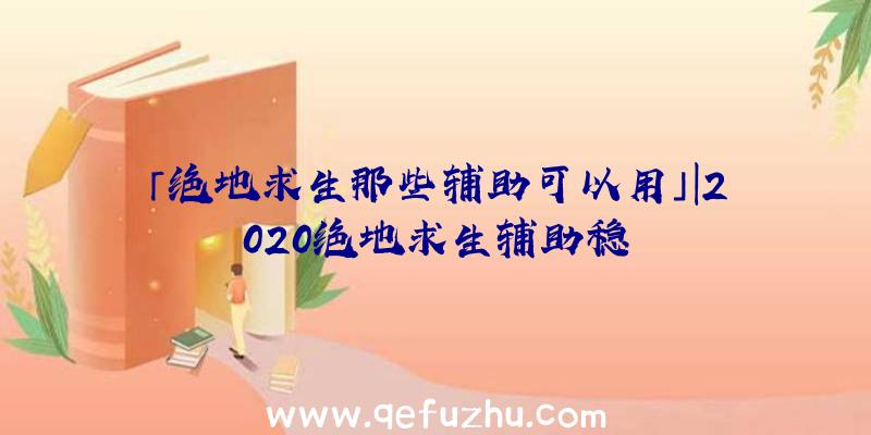 「绝地求生那些辅助可以用」|2020绝地求生辅助稳